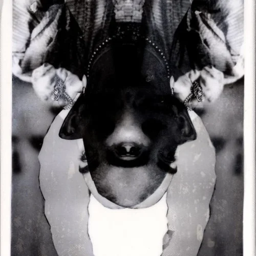 IMG_20220316_232352_158