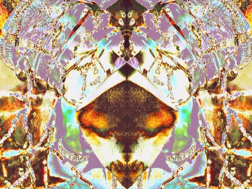 Ilustração_Sem_Título (2)